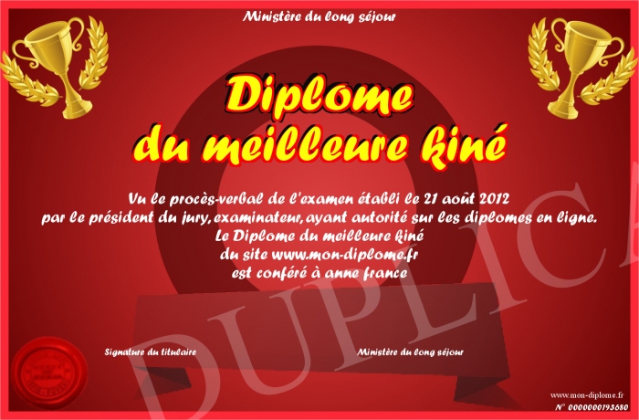 diplome universitaire kine